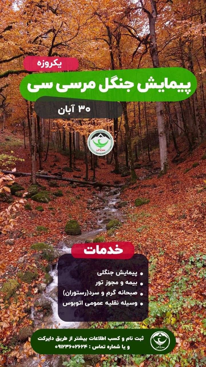 تور طبیعتگردی اقتصادی جنگل مرسیسی با پیمایش ۱۰ کیلومتر