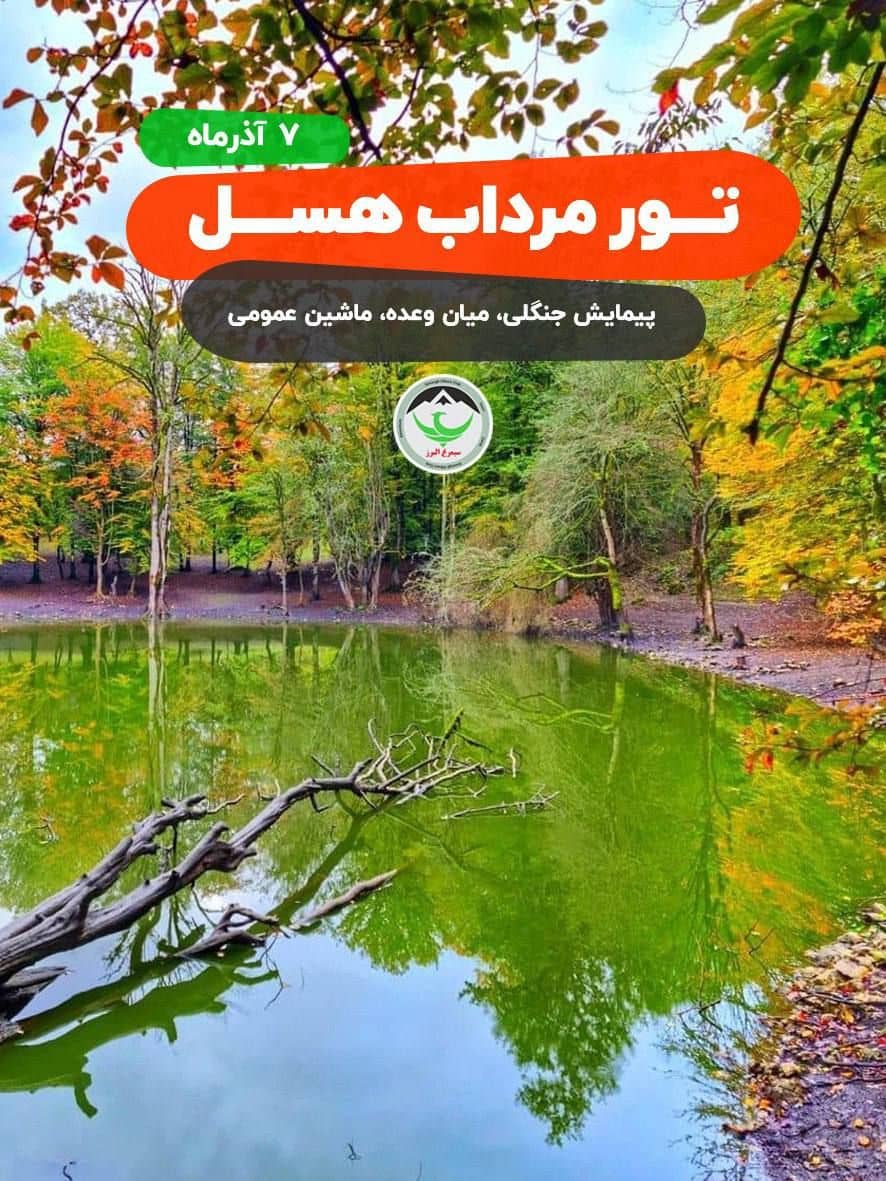 تور یک‌روزه طبیعت‌گردی مرداب هسل و جنگل مشعل