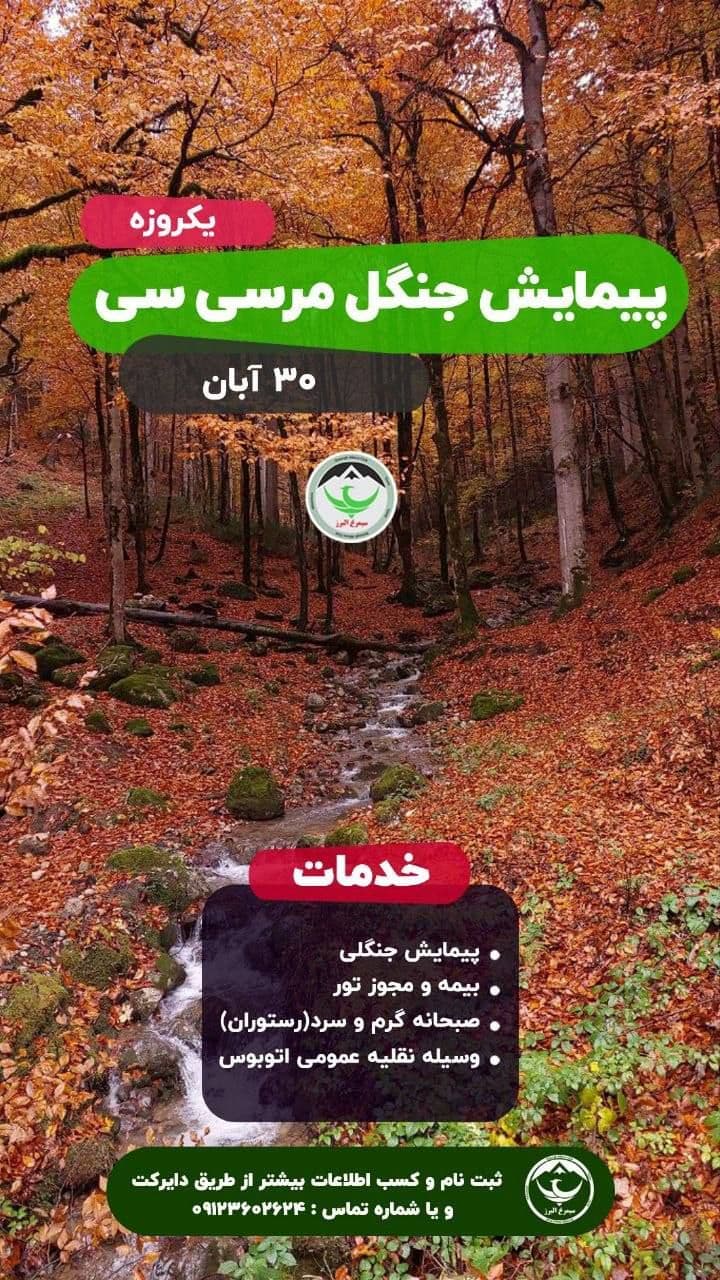 تور طبیعت‌گردی اقتصادی جنگل مرسی‌سی با پیمایش ۱۰ کیلومتر